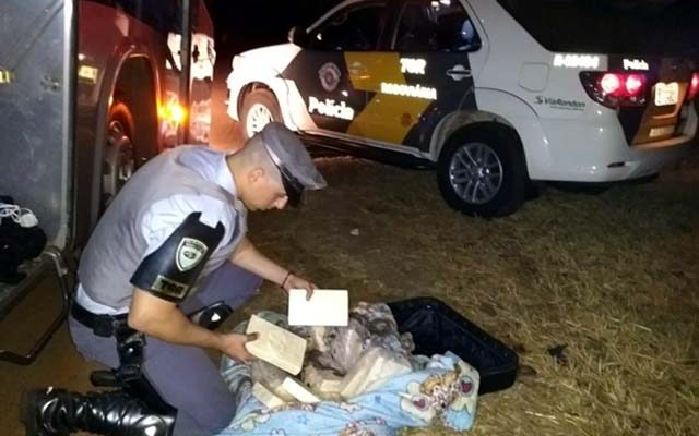 Prisão aconteceu quando equipe do TOR abordou passageiros de um ônibus que fazia a linha São Paulo/Araçatuba. Foto: DIVULGAÇÃO