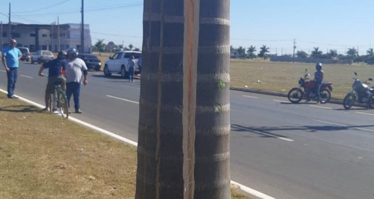 Motociclista bateu em palmeira no canteiro central de avenida — Foto: Vander Gomes/Lucas Notícias.