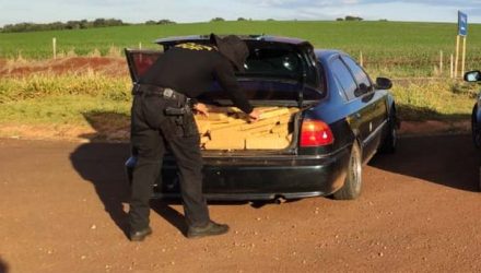 Veículo com mais de 300 kg de maconha foi apreendido em Maracaju (MS) — Foto: DOF/Divulgação.