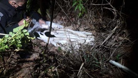 Explosivos encontrados pela polícia em comunidade rural — Foto: Polícia Militar.