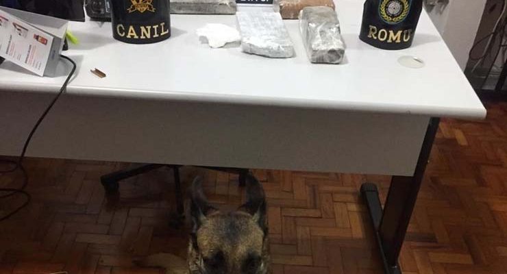 Drogas foram encontradas em tambor enterrado em Itapeva (SP) — Foto: Polícia Civil/Divulgação.