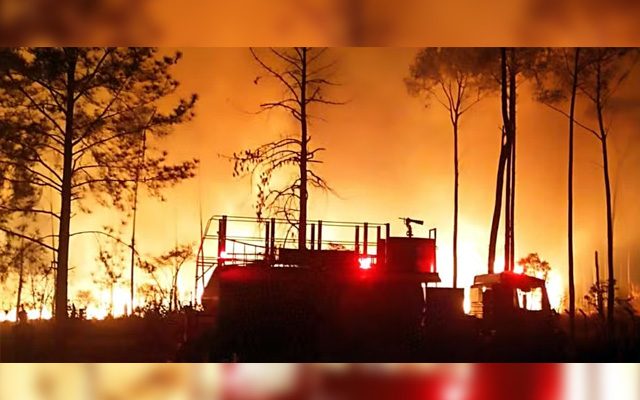 Incêndio que atingiu uma área de preservação ambiental em Castilho (SP) — Foto: Divulgação